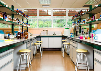 Imagen de la facultad de Farmacia